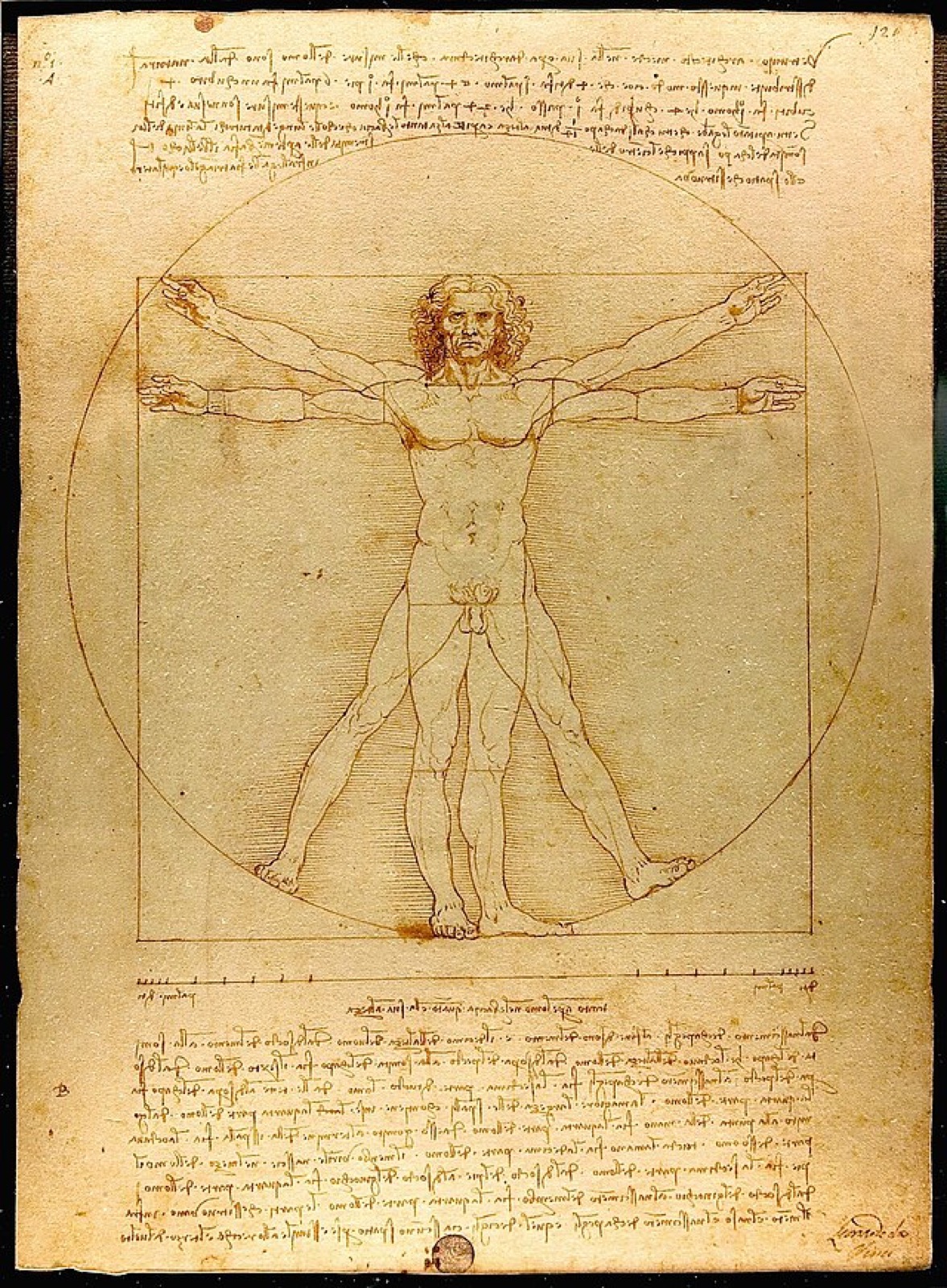 Leonardo da Vinci's Vitruvian Man.
